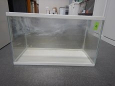 画像1: 【リユース品】【水槽】W60D27.5H36cmガラス水槽 管理記号　の店頭受け渡し限定 (1)