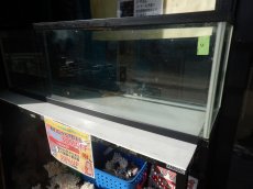 画像1: 【リユース品】【水槽】W120D32H40cm　ガラス水槽 管理記号　U店頭受け渡し限定 (1)