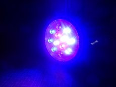 画像3: 【リユース品】【LED】 クリスタルアクア球とクリップセット（発送可能） (3)