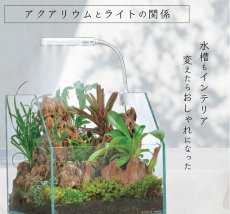 画像2: 【飼育用品・器具】ミニLED ピースロング140 ブラック LED照明 コトブキ工芸 (2)