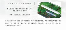 画像5: 【飼育用品・器具】ミニLED ピースロング140 ブラック LED照明 コトブキ工芸 (5)