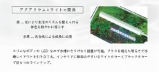 画像5: 【飼育用品・器具】ミニLED ピースロング140 ホワイト LED照明 コトブキ工芸 (5)