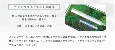 画像5: 【飼育用品・器具】ミニLED ピースロング200 ブラック LED照明 コトブキ工芸 (5)