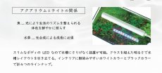 画像5: 【飼育用品・器具】ミニLED ピースロング200 ホワイト LED照明 コトブキ工芸 (5)