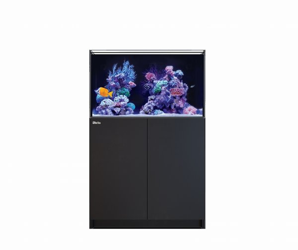 飼育用品・器具】【大型商品送料別途】【お取り寄せ】【Red Sea】 Reefer G2＋ 250 ブラック (オーバーフロー水槽 リーファー) -  ペットバルーン ネットショップ