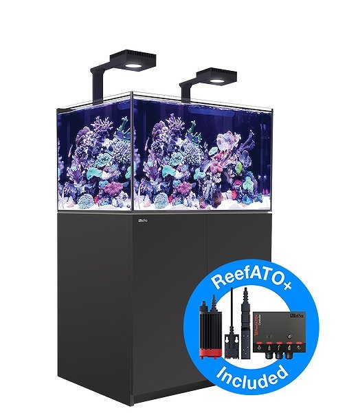 飼育用品・器具】【大型商品送料別途】【お取り寄せ】【Red Sea】 Reefer G2＋DX 300 ブラック (オーバーフロー水槽 リーファー)  - ペットバルーン ネットショップ