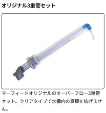 画像5: 【飼育用品・器具】【大型商品送料別途】マーフィード　オーバーフロー水槽セット　オアシス60　ホワイト(オーバーフロー水槽 オアシス)【メーカー直送】 (5)