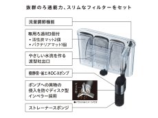 画像5: 【飼育用品・器具】【水槽】グラステリア300キューブ スリムフィルターセット 3年保証(淡水 海水用) (5)