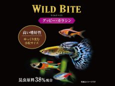 画像3: 【飼育用品・餌】 ワイルドバイト グッピー・カラシン 45g GEX 熱帯魚餌 (3)