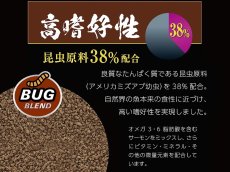 画像5: 【飼育用品・餌】 ワイルドバイト グッピー・カラシン 45g GEX 熱帯魚餌 (5)