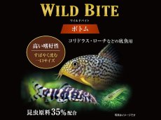 画像3: 【飼育用品・餌】 ワイルドバイト ボトム 45g GEX 熱帯魚餌 (3)