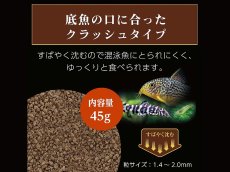 画像4: 【飼育用品・餌】 ワイルドバイト ボトム 45g GEX 熱帯魚餌 (4)