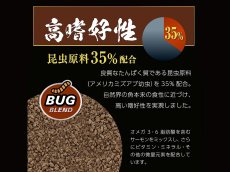 画像5: 【飼育用品・餌】 ワイルドバイト ボトム 45g GEX 熱帯魚餌 (5)