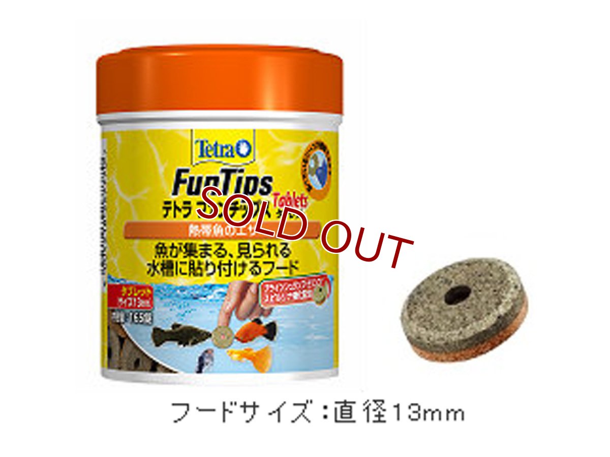 画像1: 【飼育用品・餌】 【通販】テトラ ファンチップス 165錠【乾燥餌】 (淡水用)(餌) (1)