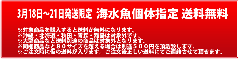 飼育用品 器具 掃除器具 Ezeclean 300ml 海水用 ペットバルーン ネットショップ