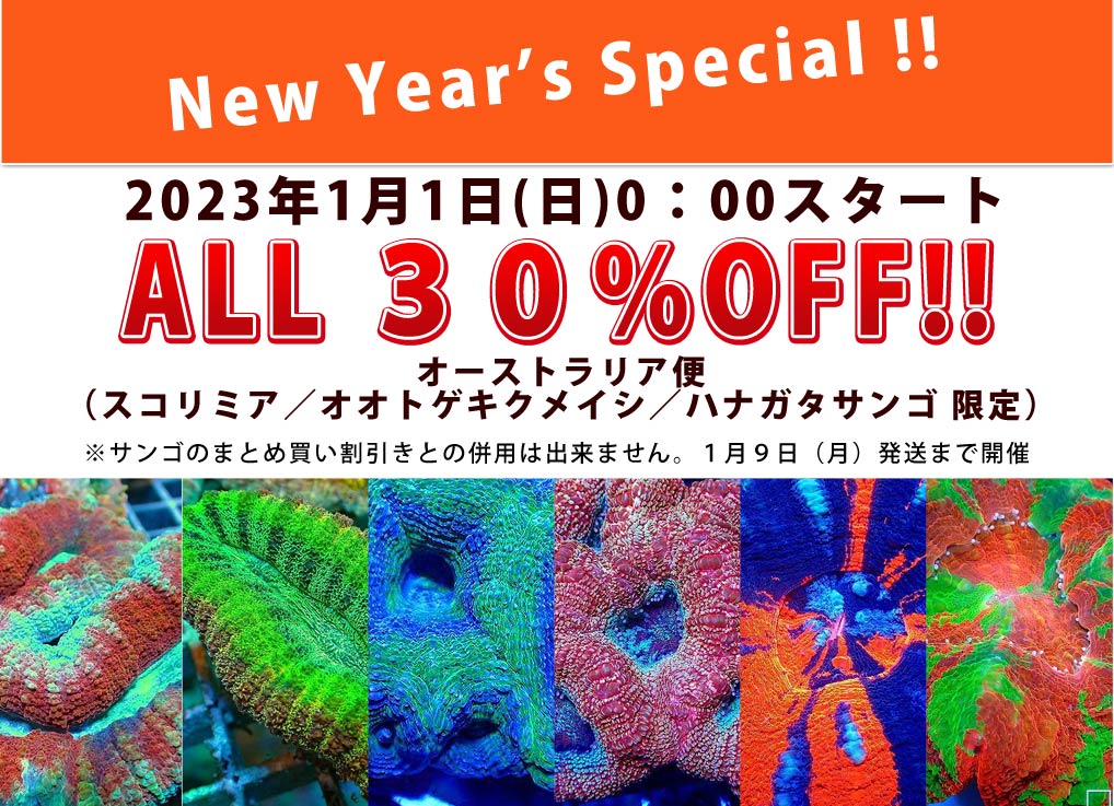 飼育用品 器具 照明器具 Ledライト Red Sea Reef Led 50 ユニバーサル マウント36 50ｃｍ水槽用 送料無料 海水用 サンゴ用 メーカー保証付き ペットバルーン ネットショップ