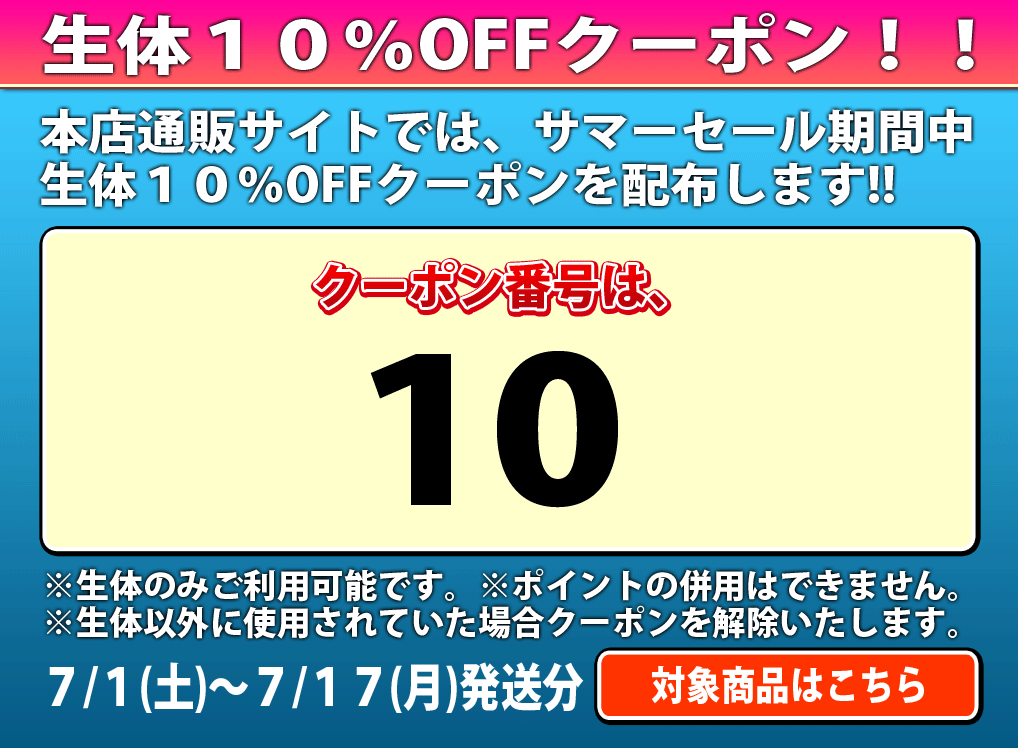 年末のプロモーション大特価！年末のプロモーション大特価