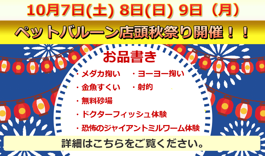 飼育用品・器具】【リアクター】【海藻リアクター】ミスティーク 90