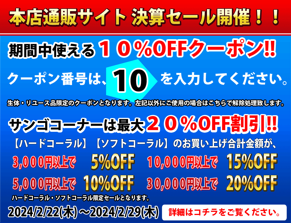 水草.レイアウト】今後の入荷はないかも？ No2 ウミウチワ【個体販売