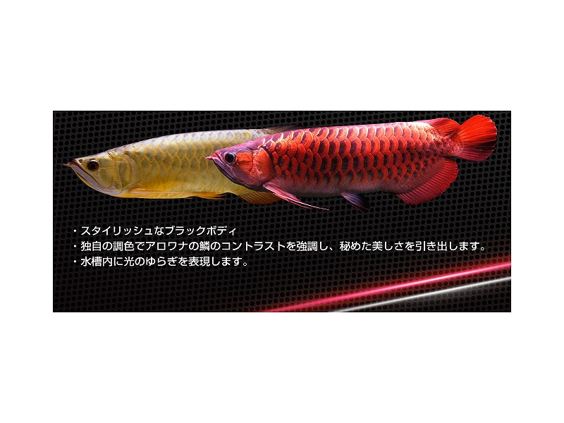 飼育用品 器具 照明器具 Ledライト マジックアロワナ Led 1 ゴールド Magic Arowana Led 1 Gold 淡水用 メーカー保証付き ペットバルーン ネットショップ